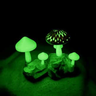 Champignons Phosphorescents