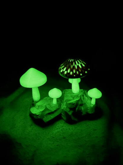 Champignons Phosphorescents